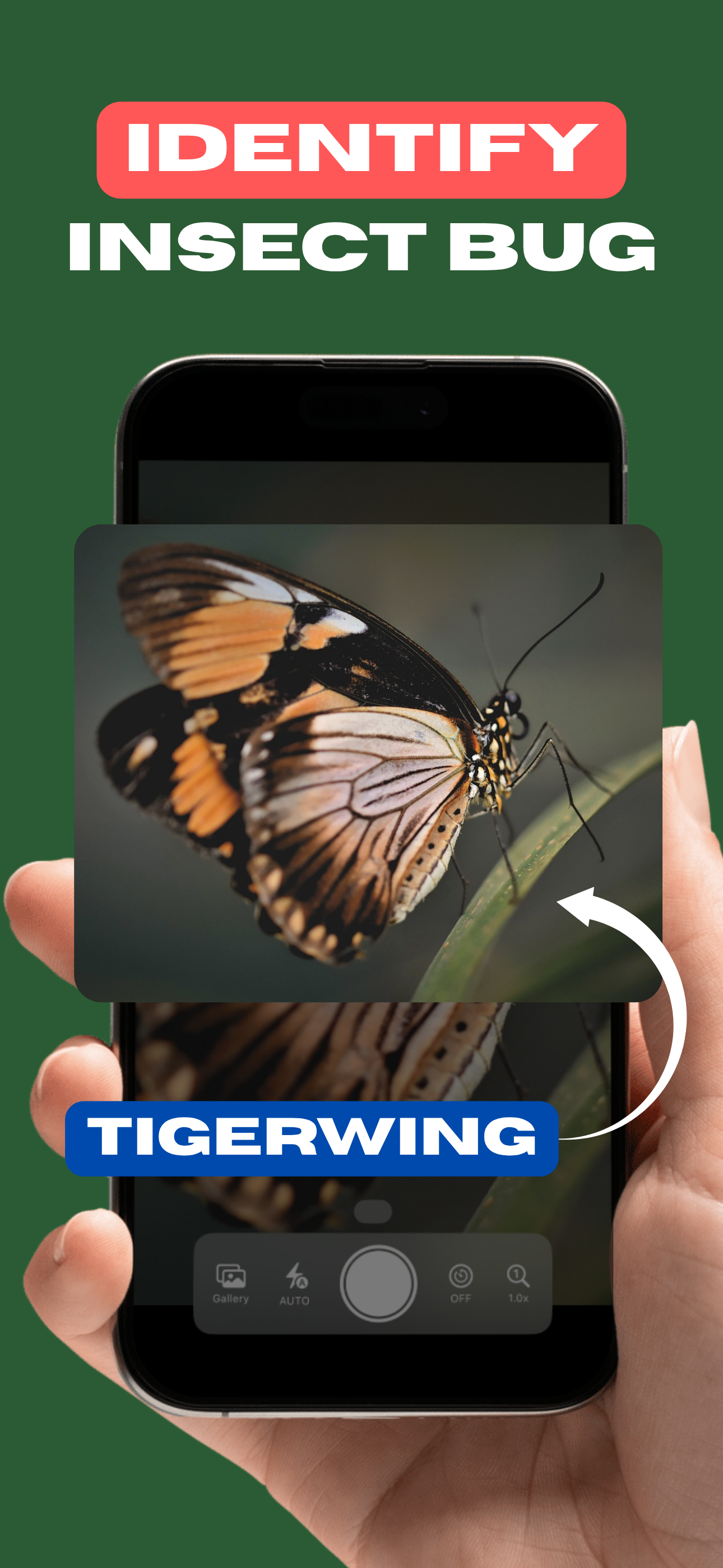 Insect Bug Identifier - Bug ID screenshot 1