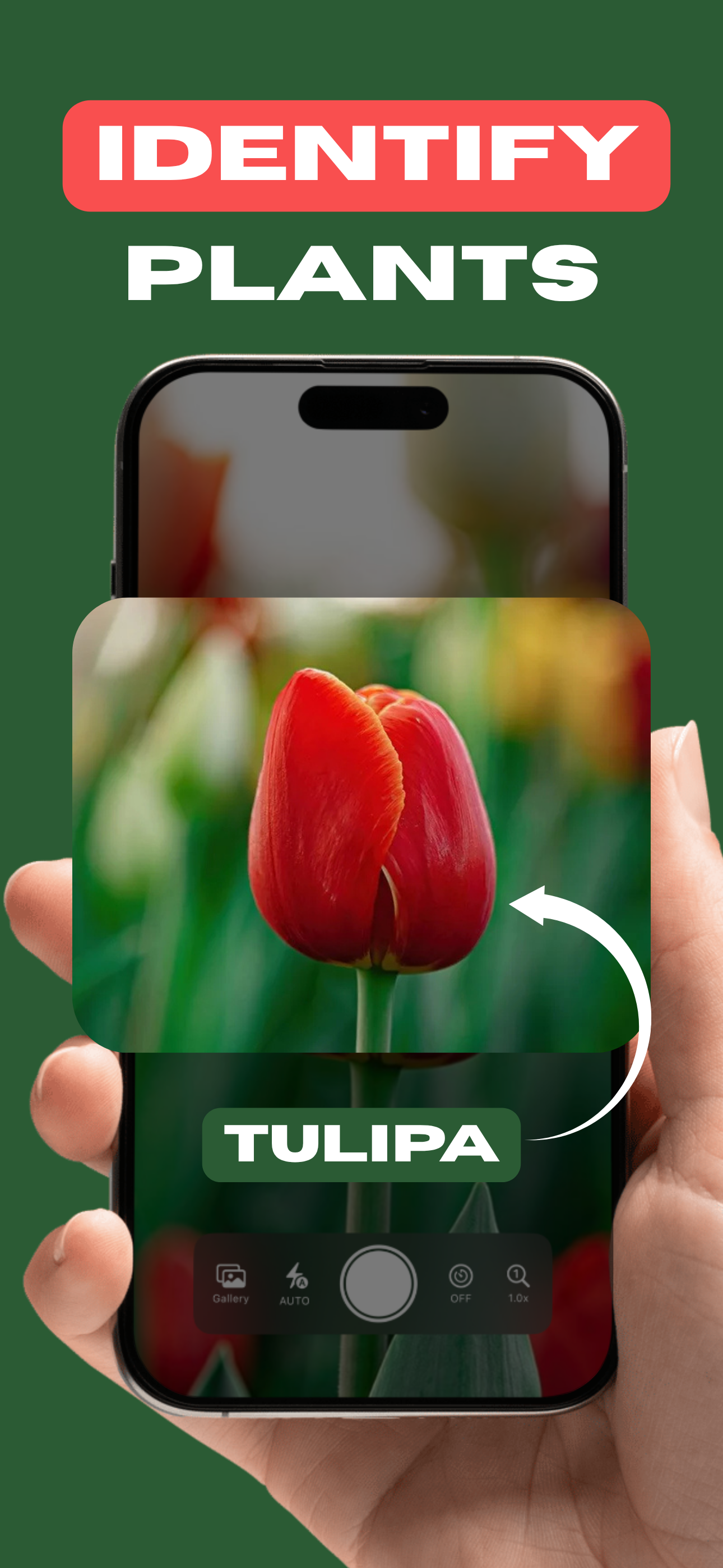 Plant Identifier - Plantscope screenshot 1