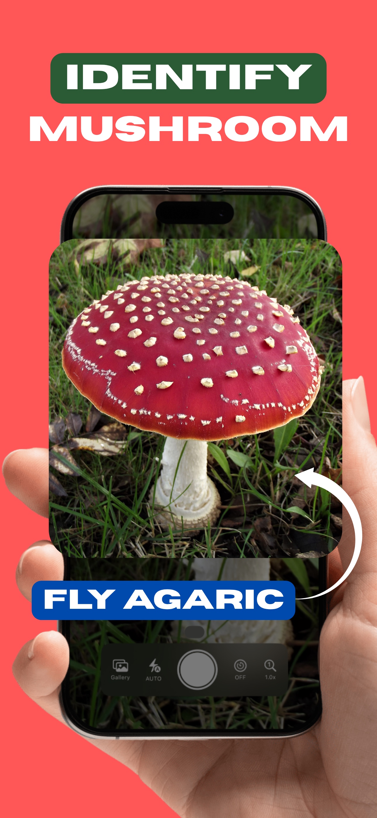 Mushroom Identifier - ShroomID screenshot 1